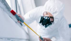 Best Pest Prevention Services  in Prospect Rk, PA